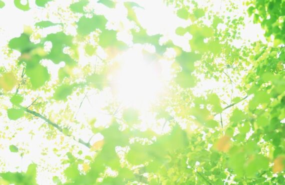 高崎市で壁紙の張替えなら山信工業まで